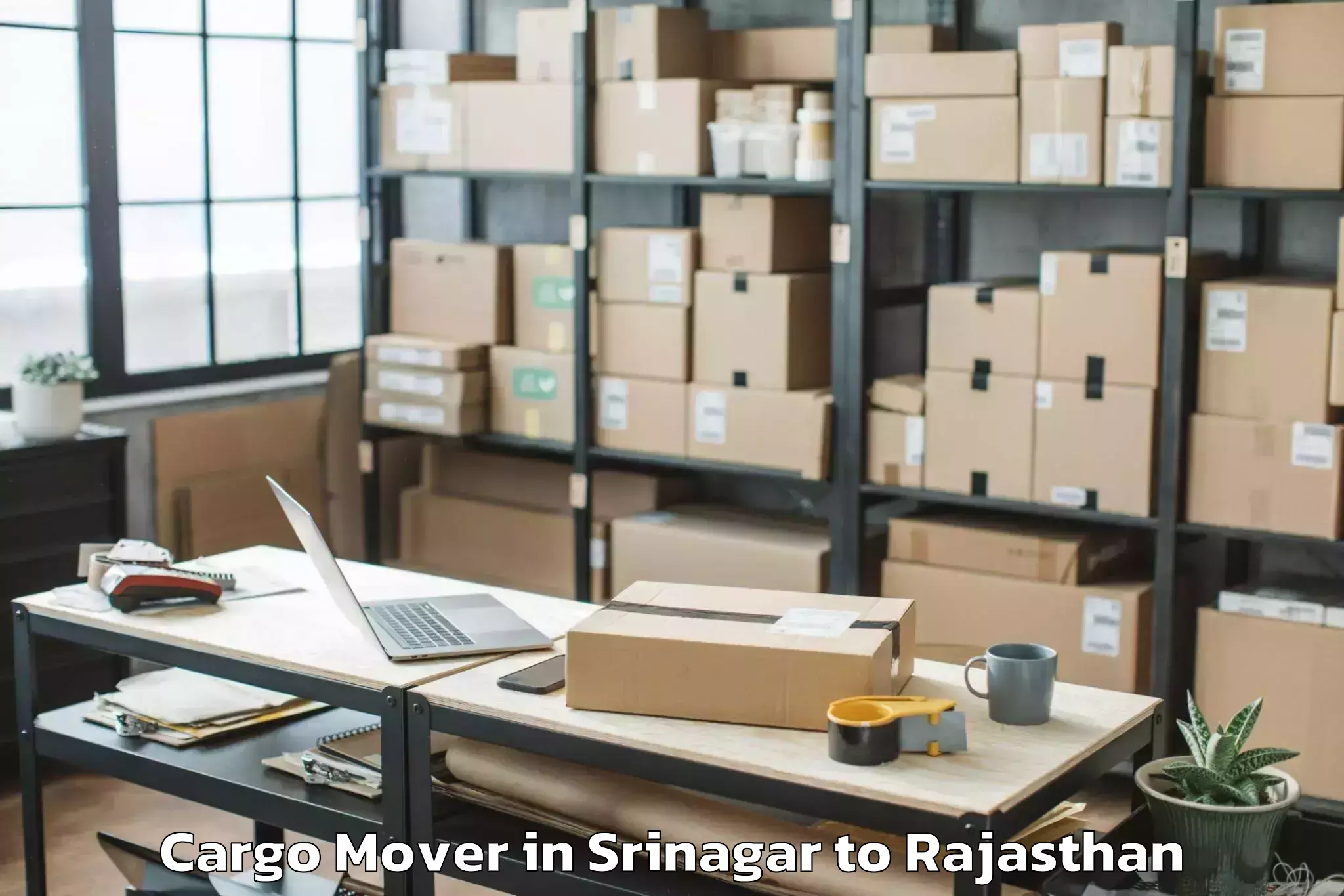 Top Srinagar to Ladpura Cargo Mover Available